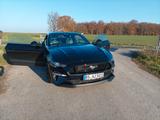 Ford Mustang GT 5.0 V8 Fastback | Recaro | MagneRide - Ford Mustang Gebrauchtwagen in Braunschweig