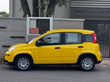 Fiat Panda Pandina Cross - Fiat Panda Gebrauchtwagen in Stuttgart