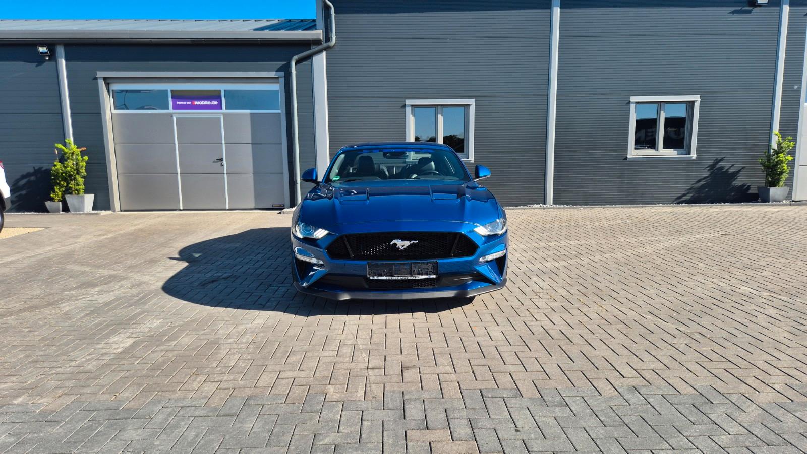 Ford Mustang STEEDA Q500 Enforcer / Garantie
