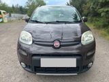 Fiat Panda Rock 4x4 *Allrad*Klima*ALU*AHK*HU10.24 - Fiat Panda: Allradantrieb, 1.1