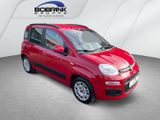 Fiat Panda Lounge 8V 1.2 Klima eFH ESP MP3 Allwetter - Fiat Panda: 2.8