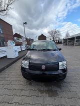 Fiat Panda - Fiat Panda Gebrauchtwagen in Düsseldorf