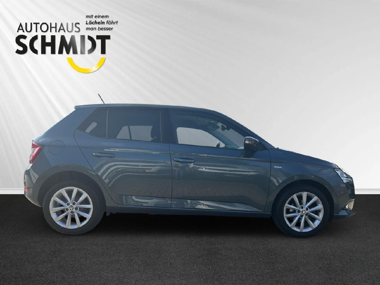 Fahrzeugabbildung SKODA Fabia Soleil
