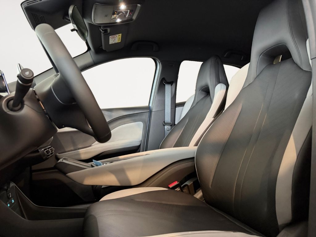 BYD DOLPHIN SURF