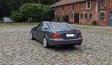 Mercedes-Benz E 55 AMG AMG - aus 2006: AMG