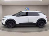 Citroën C4 Cactus Feel - Citroën in Bonn