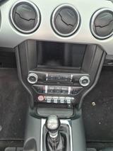 Ford Mustang 5.0 V8 Cabrio GRAIL Schalter - Ford Mustang Gebrauchtwagen in Braunschweig