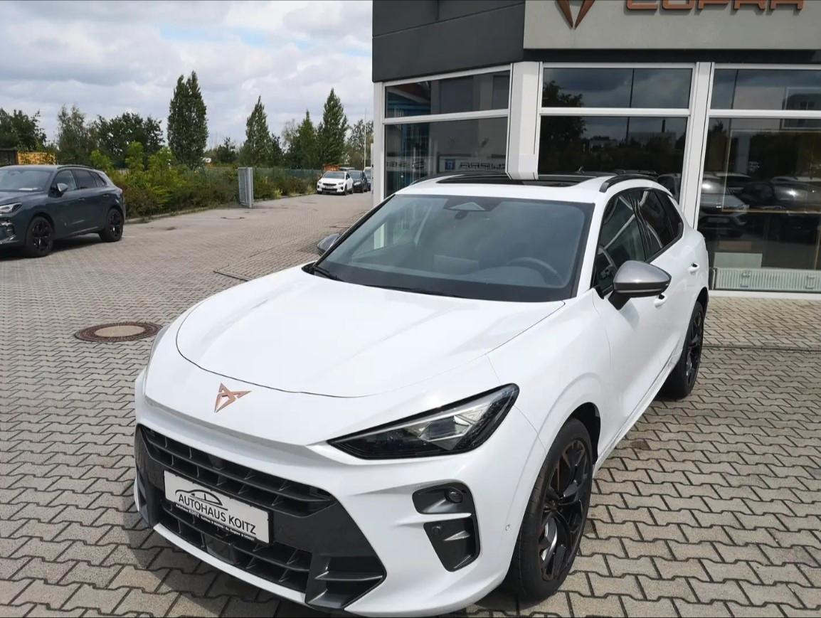 Cupra 2.0 TSI 195 kW 4Drive VZ PANO AHK Kamera PDC AAC