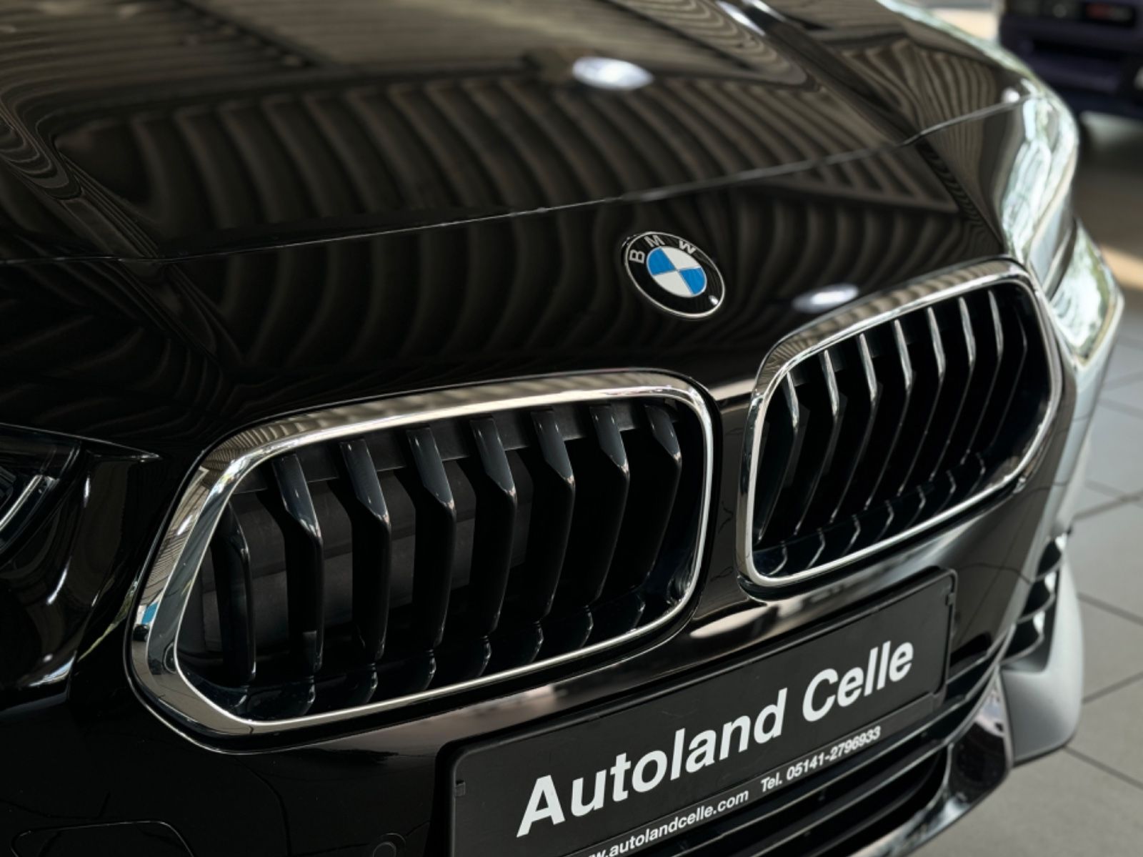 Fahrzeugabbildung BMW X2 xDrive20d Kamera LED GeschwindigReg ParkAssis