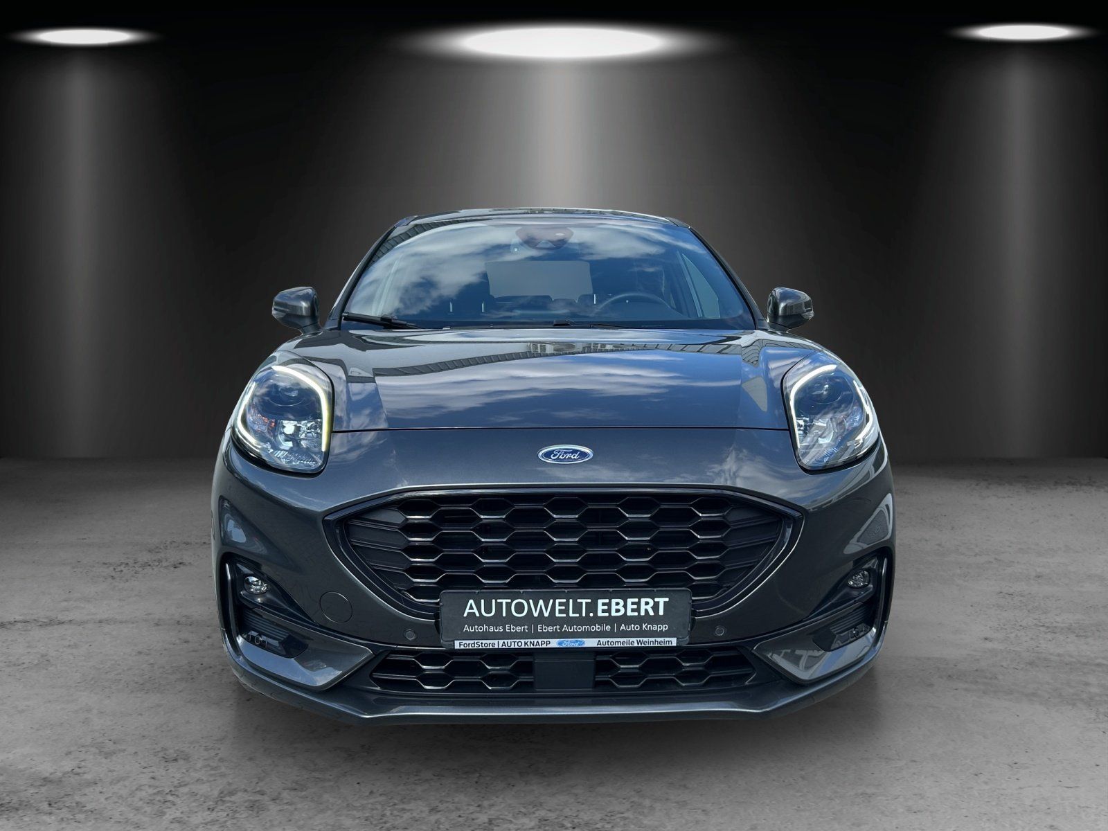 Fahrzeugabbildung Ford Puma 1.0 ST-Line X Aut./LED/GRA/KAMERA/NAVI/B&O/