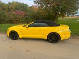 Ford Mustang 5.0 Ti-VCT V8 GT GT - mit Benzin-Antrieb: Gelb, Cabrio