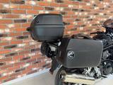 Suzuki GSF 650 S Bandit +KOFFER+TOPCASE+HISTORIE+ - SUZUKI BANDIT