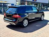 Mercedes-Benz ML 350 BlueTEC 4MATIC - - Mercedes-Benz ML 350 Gebrauchtwagen in Berlin