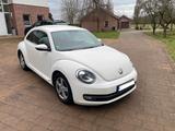 Volkswagen Beetle 1.2 TSI Design