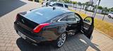 Jaguar XJ Premium Luxury 3.0 V6 Diesel Premium Luxury - Jaguar XJ: V6
