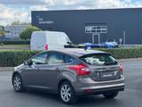 Ford Focus Lim. Champions Edition*SERVICE NEU* - Ford: Champion