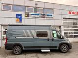 Fiat CV 600 Pro+*Solar*Navi/Kamera*Modell 2026 - Fiat Neu