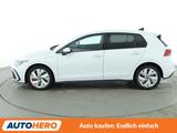 Volkswagen Golf VIII 1.4 GTE Aut.*NAVI*LED*ACC*PDC*SHZ* - Volkswagen Golf: Vii GTE