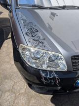 Fiat Punto 1.2 16V  (Turning,showcar) - Fiat aus 2004