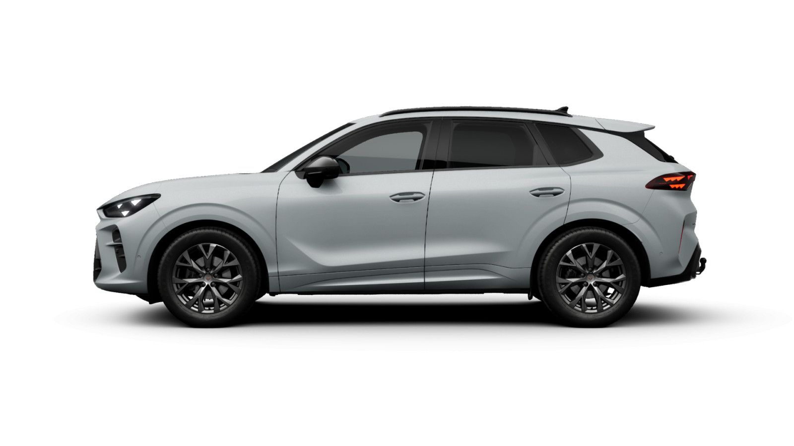 Cupra Terramar - Bild 5