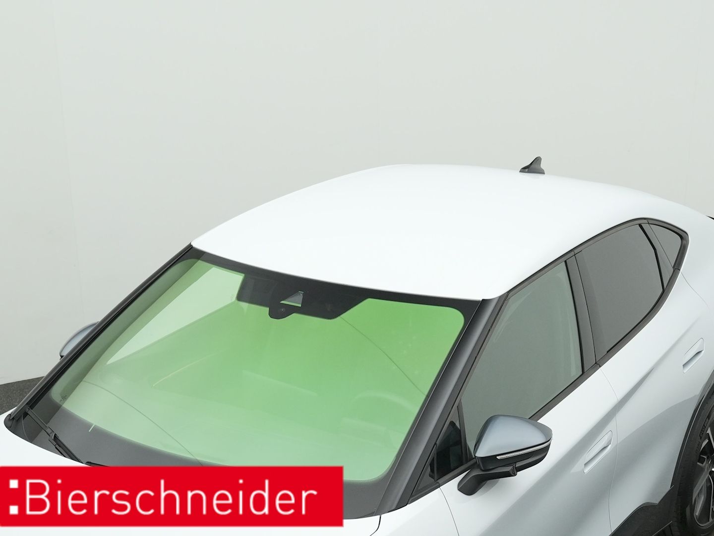 Cupra Tavascan - Bild 23