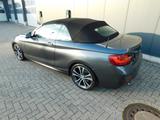 BMW 220i Cabrio M Sport+Leder+Navigation+PDC+ - : Roadster, 4 Sitzer