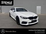 BMW 540 d xDrive M Sport DRIVE ASSIT NAVI AHK ENTERT - BMW 540: Weiß