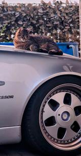 Mercedes-Benz SLK 230 KOMPRESSOR - - Mercedes-Benz SLK 230: Rot