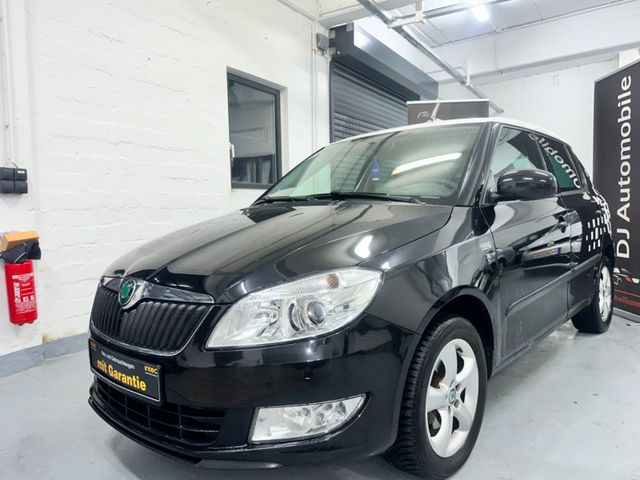 Skoda Fabia/Tempomat/Sitzheizung/PDC/ Tempo/Kette neu