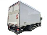 DAF LF 290FA *Rohrbahn / Fleisch / Meat *Thermo-King - Diesel Saug- und Druckwagen