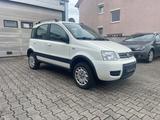Fiat Panda 1.2 8V Climbing 4X4 +AHK+Tüv bis 08.2026 - Fiat Panda Climbing mit Benzin-Antrieb