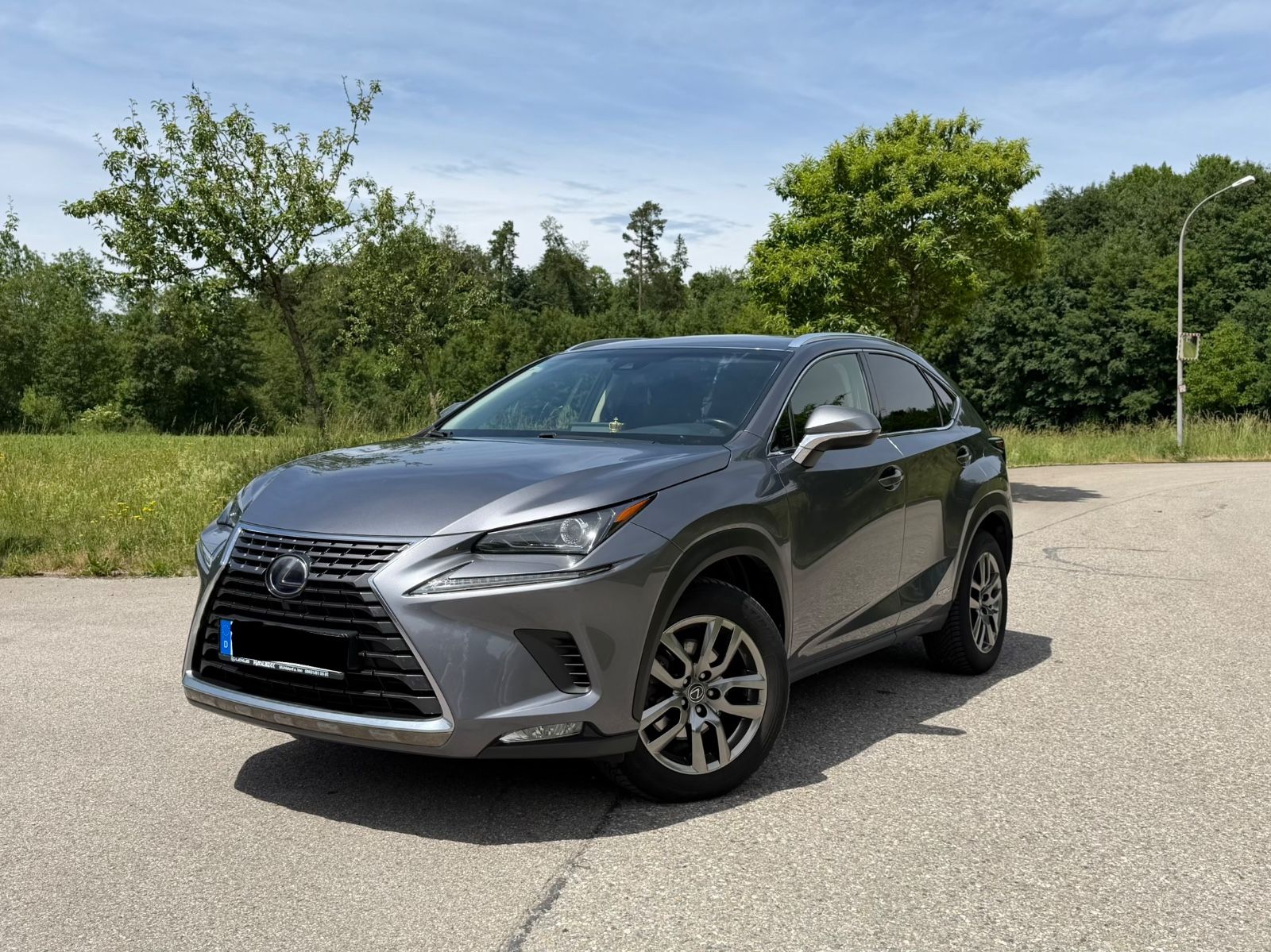 LEXUS NX 300