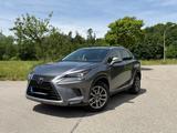 Lexus NX 300 300h  - Lexus NX-Serie Gebrauchtwagen