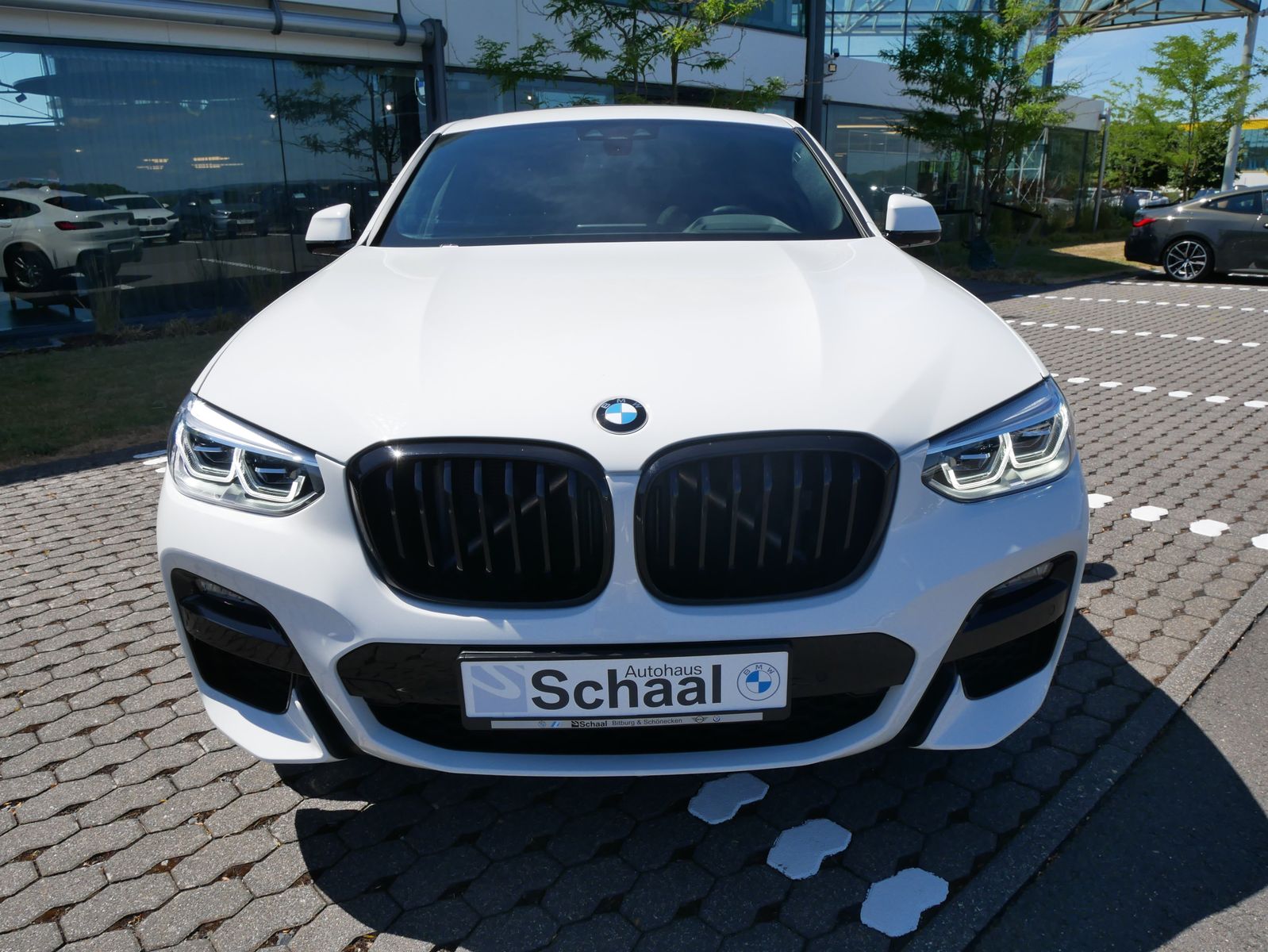 BMW X4 xDrive30d M Sport HUD H K-HiFi A-LED DA PA foto 8