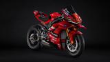 Ducati Panigale V4 S  Marc Márquez replika XXX/293