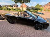 Ford Focus  Cabrio Titanium Black Edition ... - Ford Focus aus 2008: Titanium