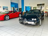 Alfa Romeo GTV Spider 2.0i JTS 16V cat Serie Sp. - Alfa Romeo GTV mit Benzin-Antrieb