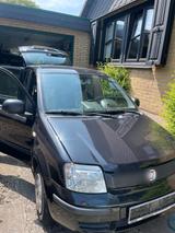 Fiat Panda - Fiat Panda in Kiel