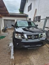 Nissan Navara D40 King cap 2.5DCI motorsch... - Nissan Navara: 2.5