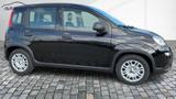 Fiat Panda 1,0  Hybrid (MHEV) Pandina Base NBA PDC  - Fiat Panda Gebrauchtwagen in Bielefeld