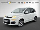 Fiat Panda 1.2 Lounge Flex-Paket1 - Fiat Panda: 1.2