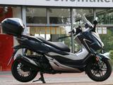 Honda Forza 300 mit Garantie - HONDA FORZA 300