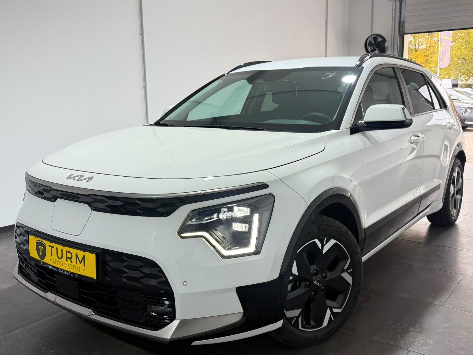 Kia e-Niro Inspiration 65kWh SOH98%|Garantie2030|AHK