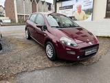 Fiat Punto 1.2 Pop / 2.Hand / PDC / EURO 5 / TÜV NEU - Fiat Punto aus 2012