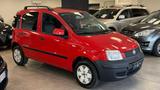 Fiat Panda 1.3 MJT 16V Emotion - Fiat Panda Emotion mit Diesel-Antrieb