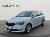 Skoda Fabia Ambition | AHK | Tempo | 1.Hd | TÜV NEU - Skoda Fabia Gebrauchtwagen in Bremen