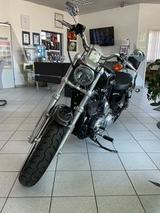 Harley-Davidson Sportster 1200 Custom (XL 1200C) - Angebote