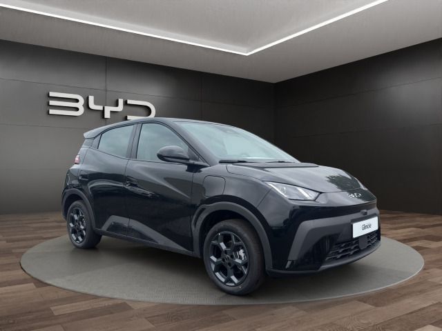 BYD DOLPHIN SURF