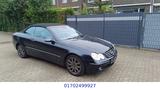 Mercedes-Benz CLK 240 ELEGANCE Gepflegter Zustand TÜV NEU - Mercedes-Benz CLK 240: Cabrio
