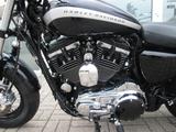 Harley-Davidson Sportster 1200 Custom - Offers